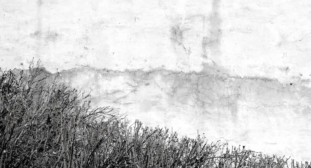 2630_SL_chWandbuschhorizont