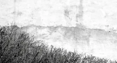 2630_SL_chWandbuschhorizont