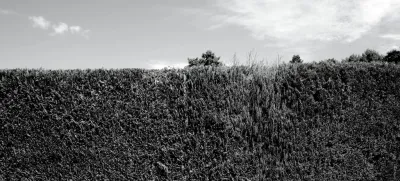 2630_ch_hecke